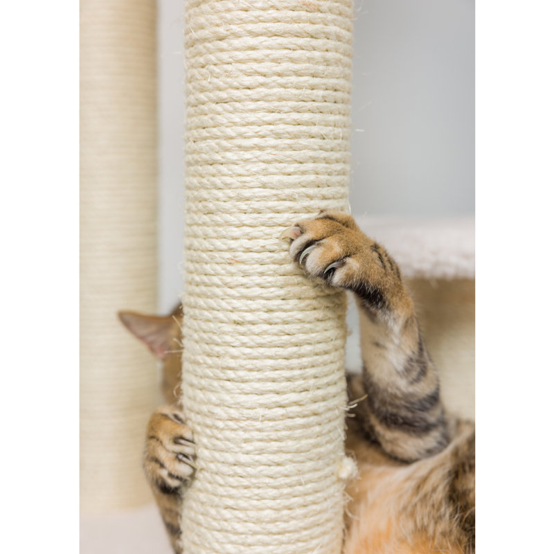 Arbre à chat classique de 68 po en bois véritable approuvé par Jackson Galaxy