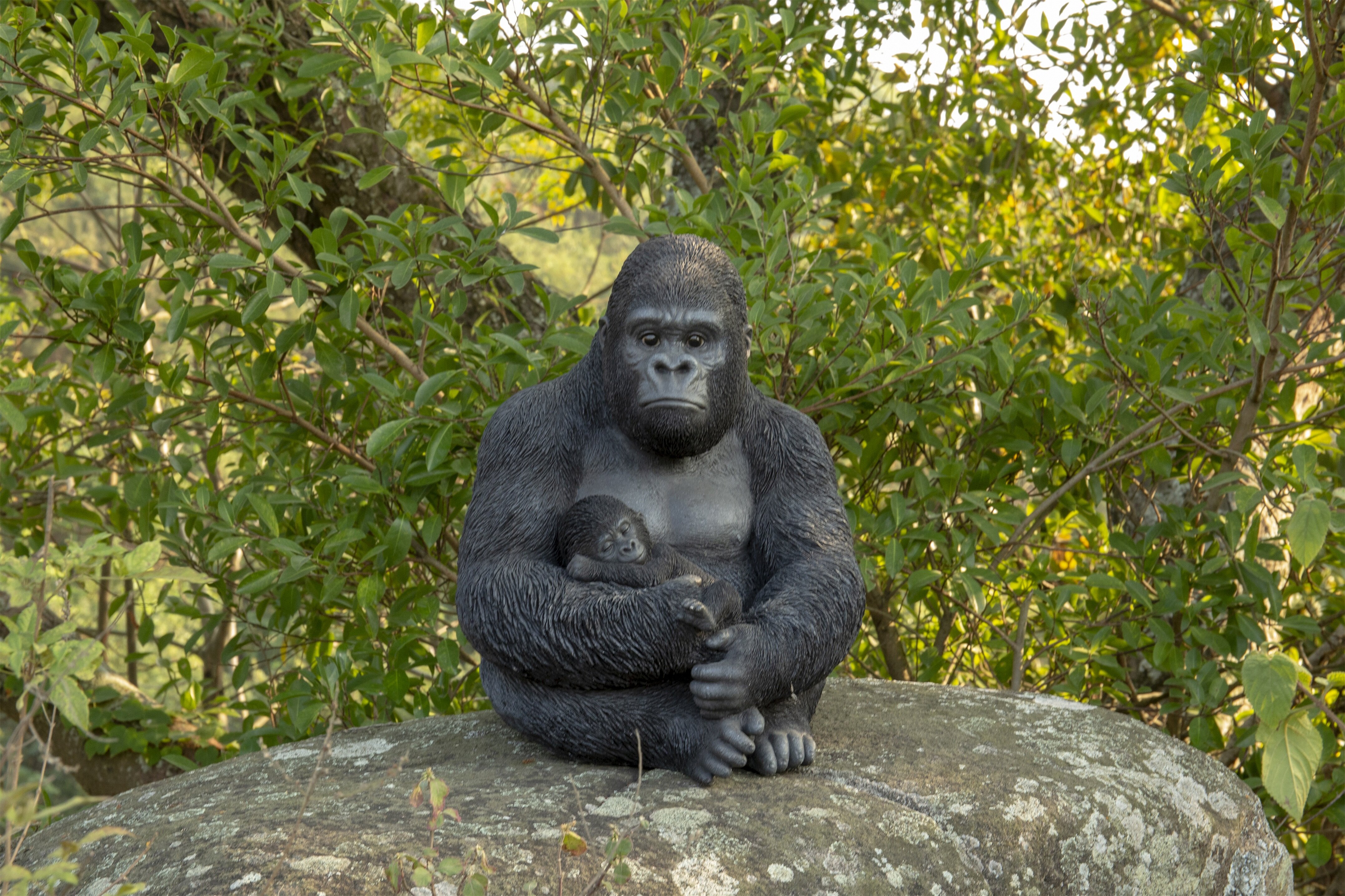 https://assets.wfcdn.com/im/18851067/compr-r85/1191/119149723/gorilla-sitting-with-baby.jpg