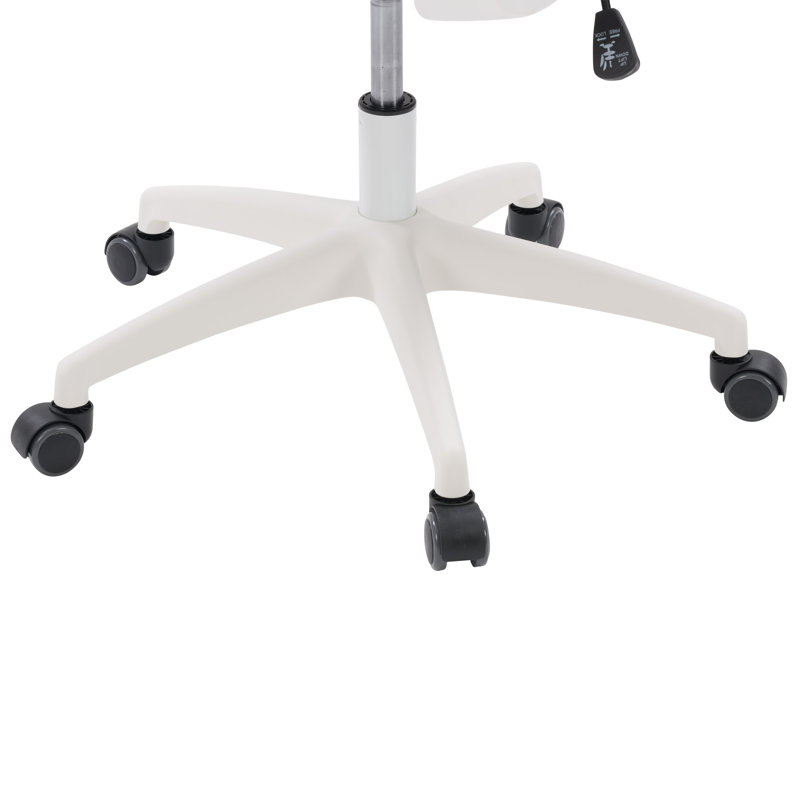 ErgoComfort 24" Swivel Mesh Office Chair with Lumbar Support, Gray and Black