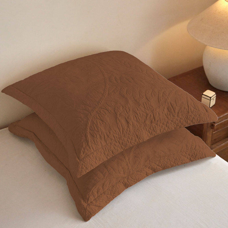 Ensemble de 2 taies décoratives européennes en coton 26 po x 26 po, Brown