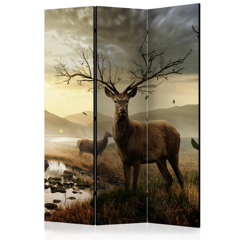 Giya 135cm W x 172cm H 3 - Panel Solid Wood Folding Room Divider