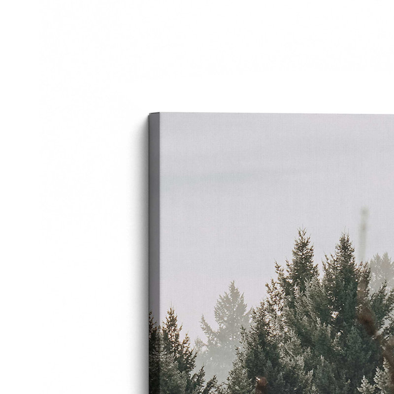 Impression sur toile Hush Evergreen III, H 18 po x l 12 po x P 1,25 po, Toile tendue