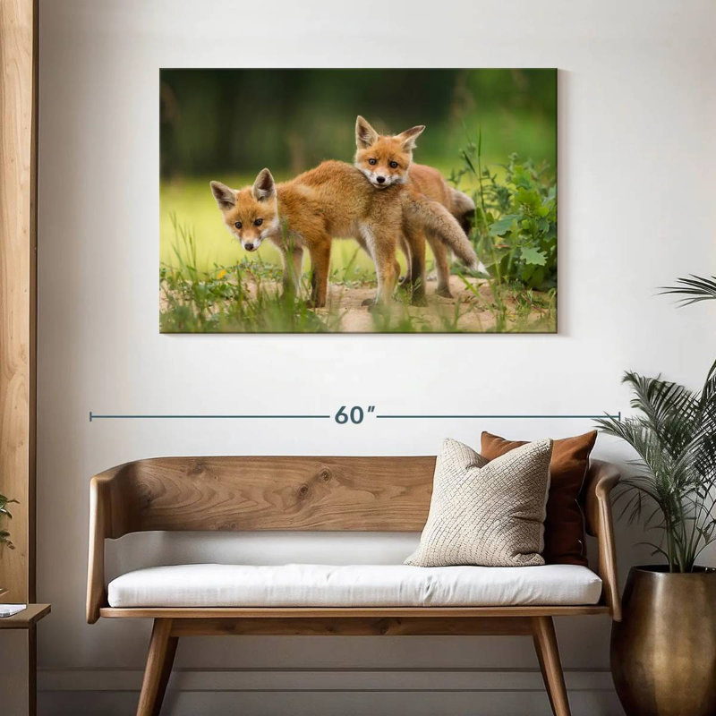 Brampt Fox Kits, 30" H x 45" W