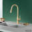 Boyel Living Pull Down Kitchen Faucet-79113185