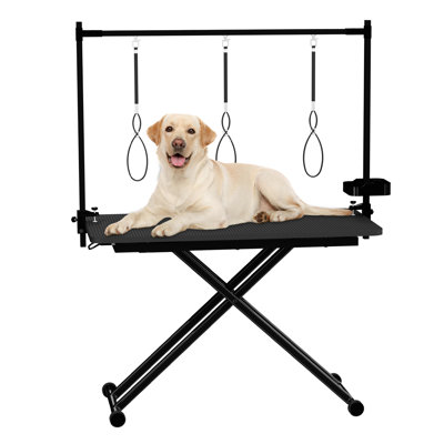 47" Adjustable Height Dog Grooming Table with X-Lift Hydraulic System, Foldable Pet Station with Arms & Nooses