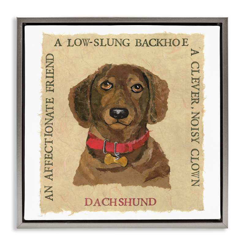 «Fun Dachshund Pet», art mural encadré flottant par Nancy Overton, Cadre flottant gris lustré, H 18 po x l 18 po