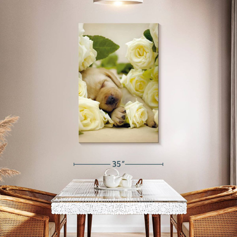 Brampt Oscar I, 48" H x 32" W