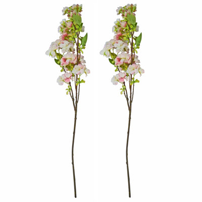Tiges de fleurs de cerisier