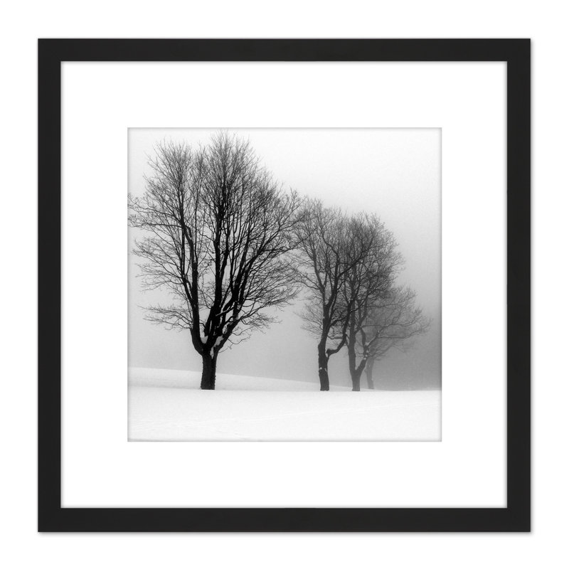 Stemberovi Trees Winter Mist Black White - Single Picture Frame Painting