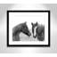 Wild Pastures by Carol Robinson-63616315-63616323