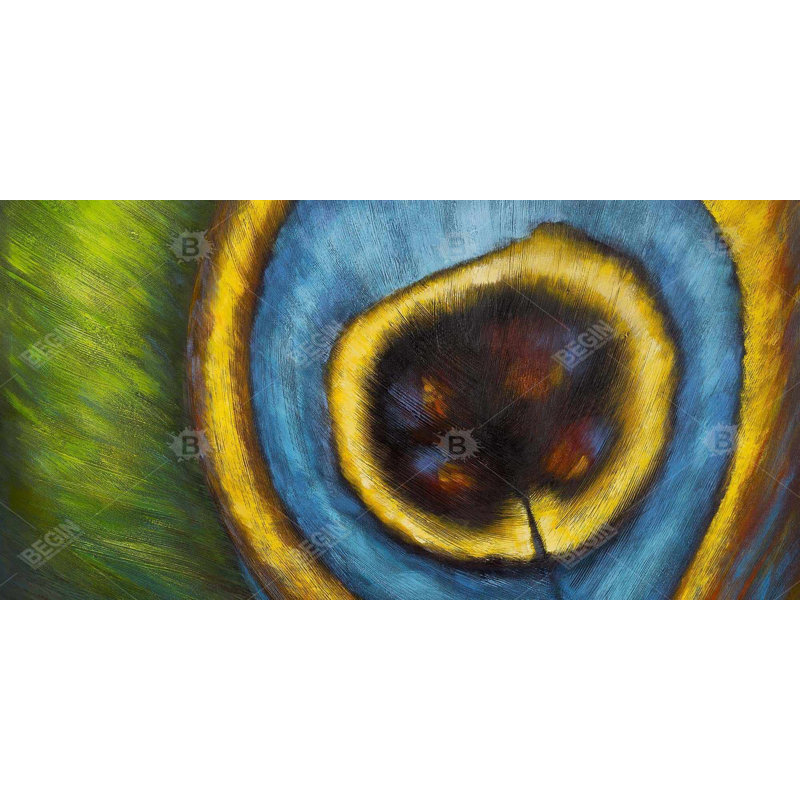 Peacock feather closeup - 15.75"x31.50" Desk mat