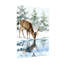 Animaux, cerfs, eau potable, paysage d'hiver, arbres enneigés, reflet, glace-936733649