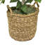 Ficus artificiel 48 po dans un panier