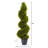 Grass Spiral Topiary