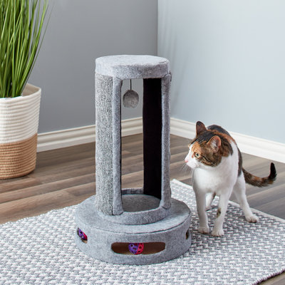 Emilyanne Scratching Post