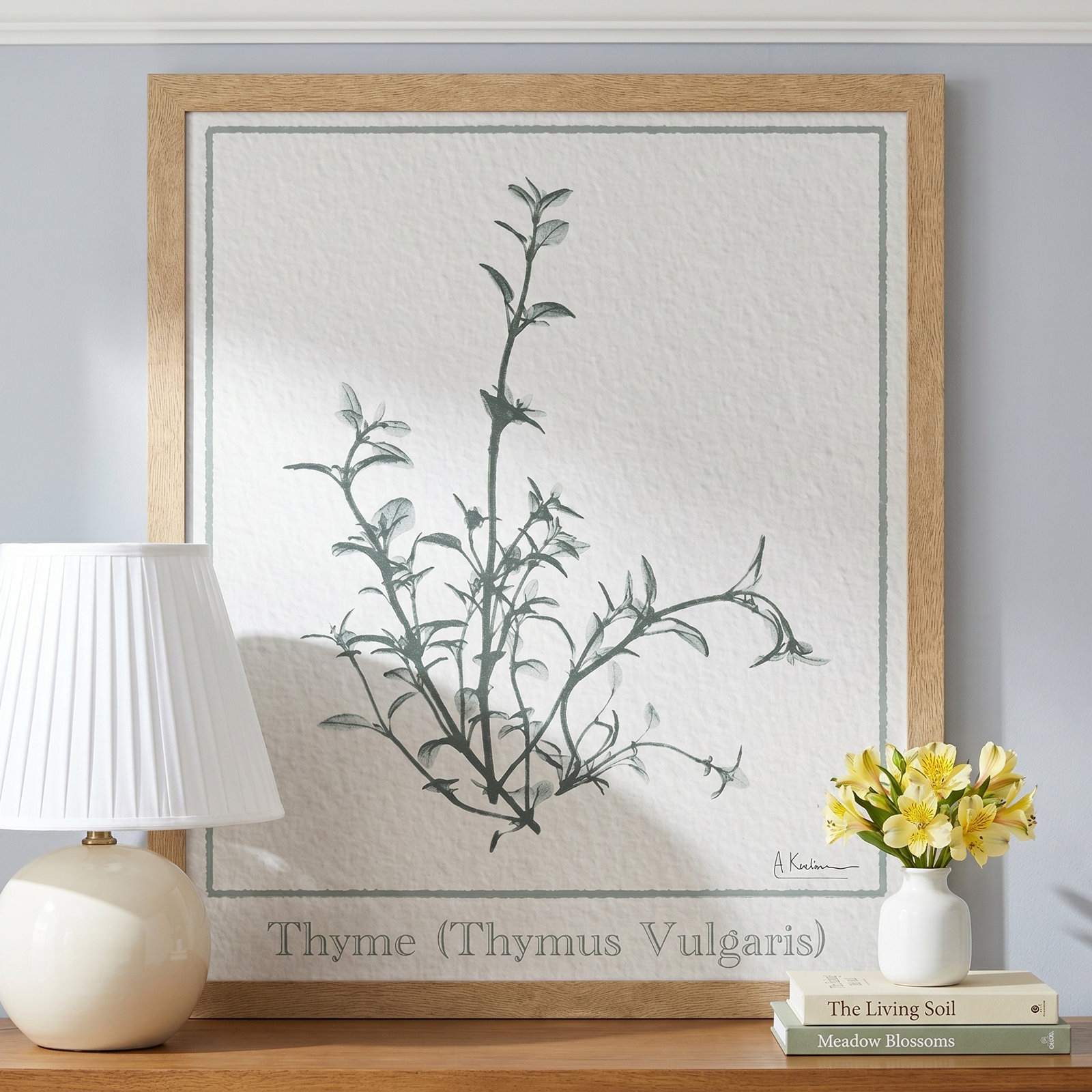 Jeanette "Thymus Vulgaris" Print, 25.5" H x 21.5" W x 1.25" D, Natural Framed Paper