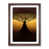 Walnut Framed