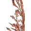 Dried Flower Bunch-119034007-119034006