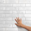 Arches Brick 2-1/2 In. X 9-7/8 In. Ceramic Wall Tile