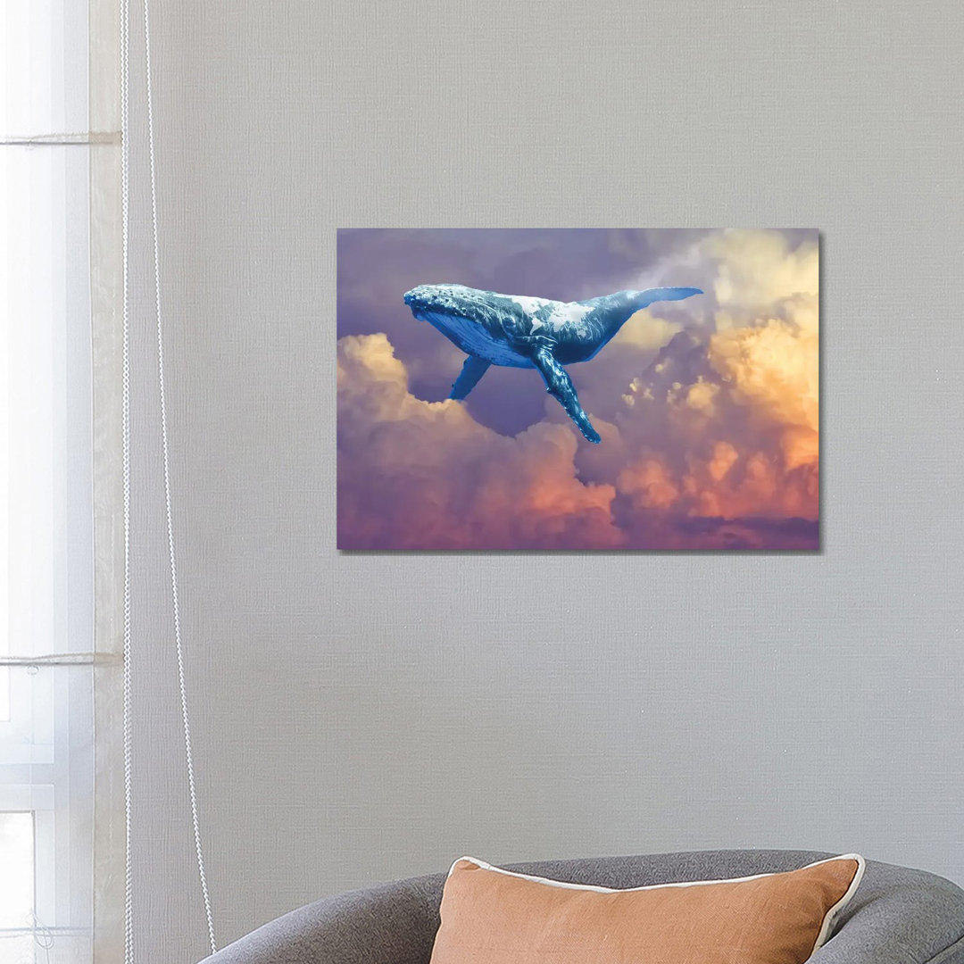 World Whale Watching