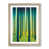 Oak