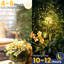 Solar Firework Lights with LED Beads Flexible Copper Wire and Waterproof Outdoor Garden Lighting