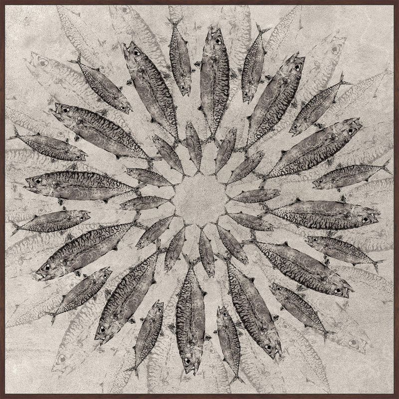 " Concentric Fish " by Marmont Hill, 12" H x 12" W x 1.5" D