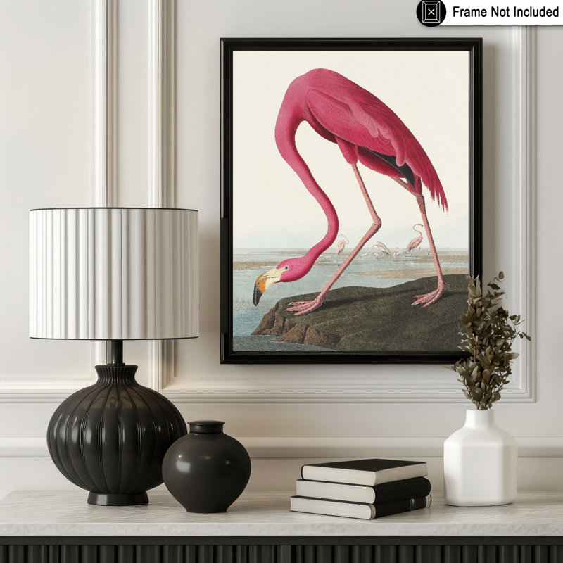 James Audubon - Flamant américain, H 11 po x l 14 po, Affiche, Sans cadre