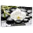 Harnek White Orchid-107501789