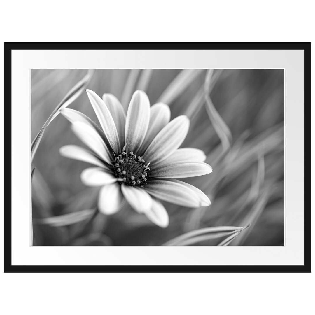 Gerahmtes Poster Blume in der Natur