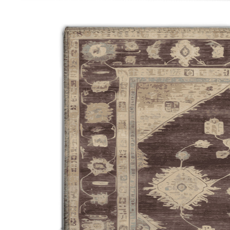 Tapis intérieur et extérieur brun Overdyed, Rectangulaire 2 pi x 3 pi