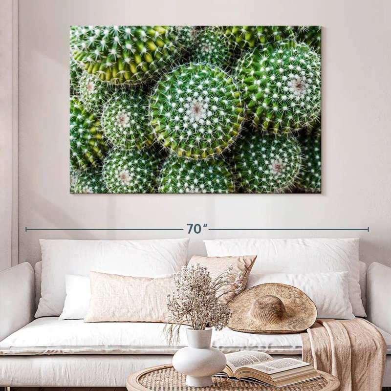 Harnek Golden Barrel Cacti, 34" H x 51" W