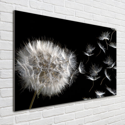 Dandelion - No Frame Print on Glass