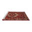Oriental Indoor Rug-239999027
