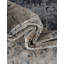 Tapis beige / bleu clair Northrup-792198916