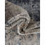 Tapis beige / bleu clair Northrup-792198921