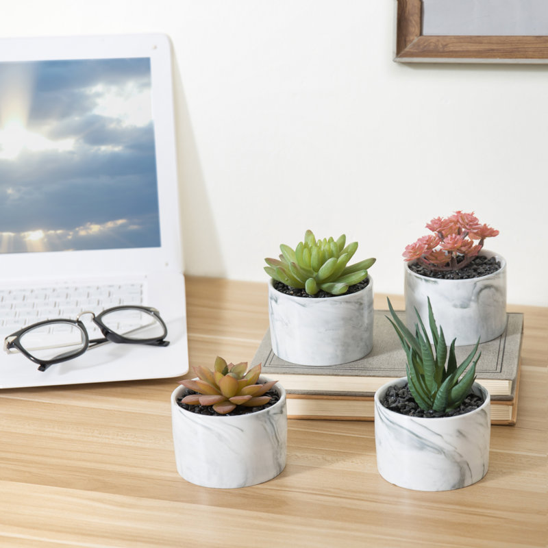 14.5cm Faux Succulent Plant in Ceramic Planter