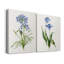 «Lived Botanical I», ensemble de 2 impressions sur toile tendue-467924972