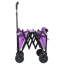 Collapsible Foldable Wagon With Wheels-125205177