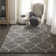 Almonte Geometric Indoor Rug
