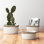 Mistana™ Fabric Basket