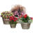 Abhijit Pot Planter