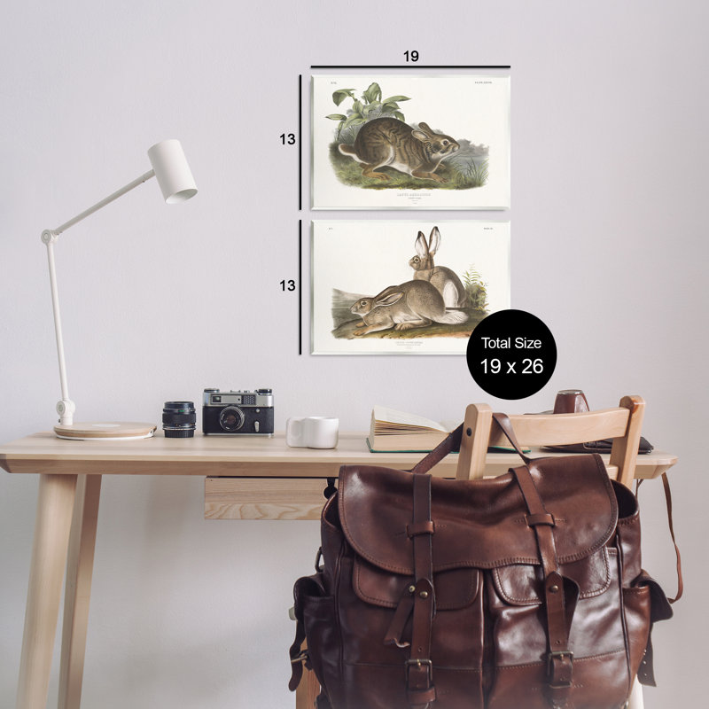«Gentle Resting Cottage Rabbit», ensemble de 2 plaques murales par Wild Apple Portfolio, H 13 po x l 19 po
