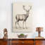 «Vintage Animal Print», reproduction encadrée sur toile XXX-1763039310