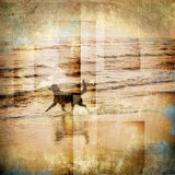 Coastal Sunrise IV Print by Zoey Riley