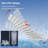 Rain Fixed Shower Head 2.5 GPM GPM