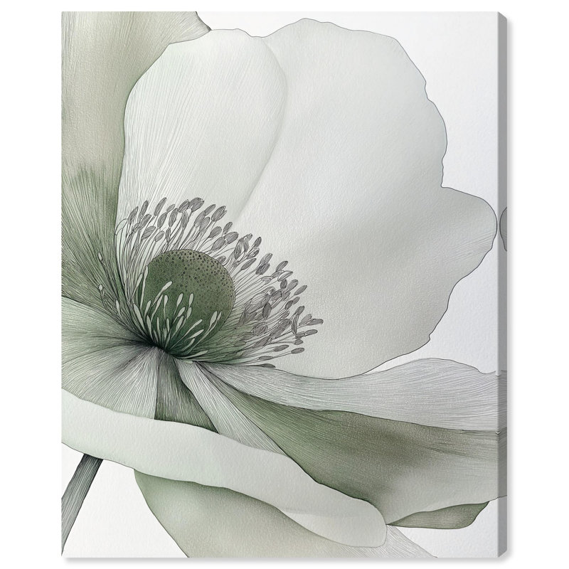 Toile délicate «I Étamines florales minimalistes» par Art Remedy, H 20 po x l 16 po, Toile tendue avec châssis