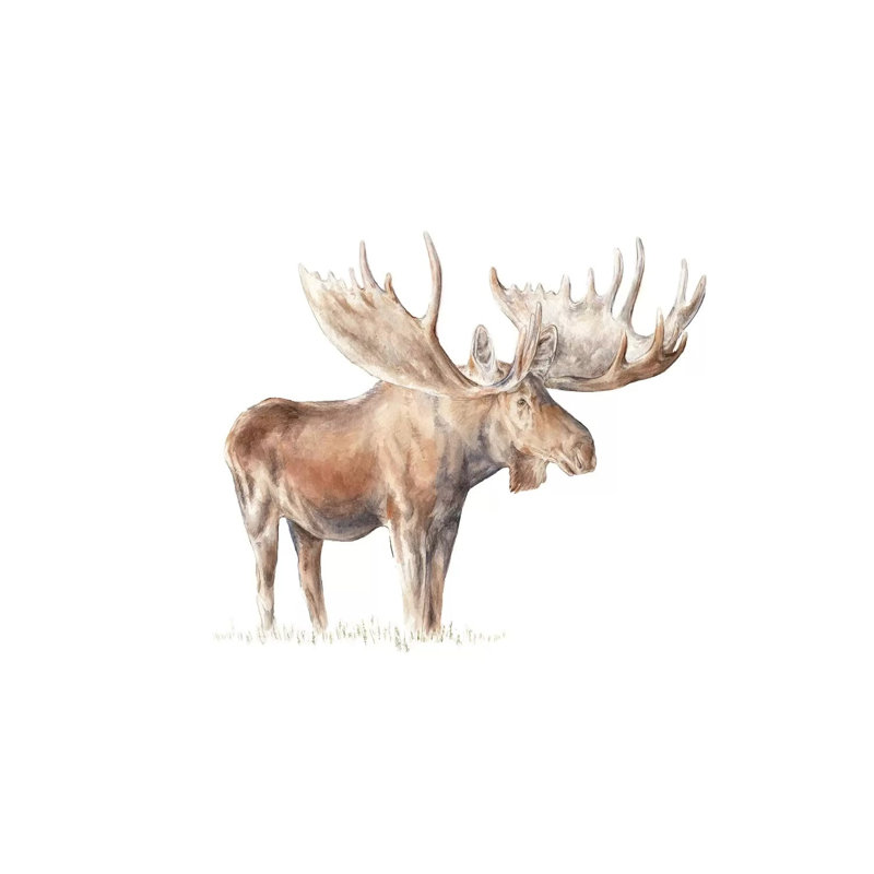 Moose 1 Piece Wrapped Canvas Painting, 101.6 cm H x 66.04 cm W x 1.91 cm D