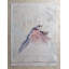 Serviettes de cuisine Flying Birds