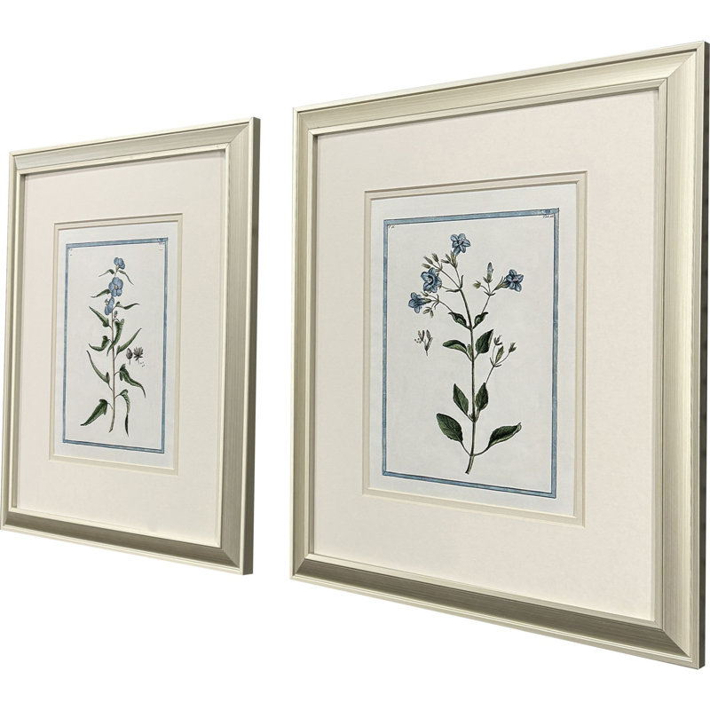 Shabby Elegance Botanical Framed Art
